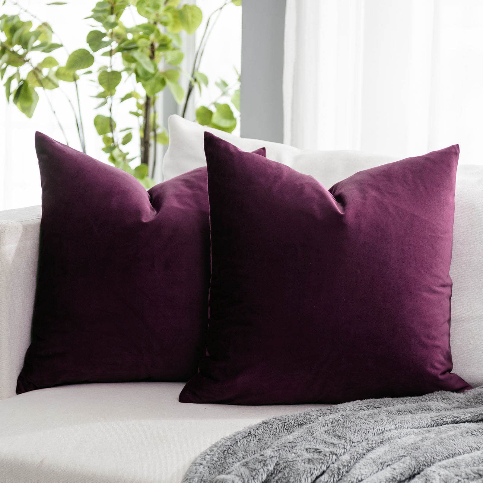 Coral Decorative Velvet Throw Pillow Covers 24x24 inch Set of 2 with Zipper Luxury Soft Solid Square Cushion Covers Case for Sofa Couch Bed Living Room
