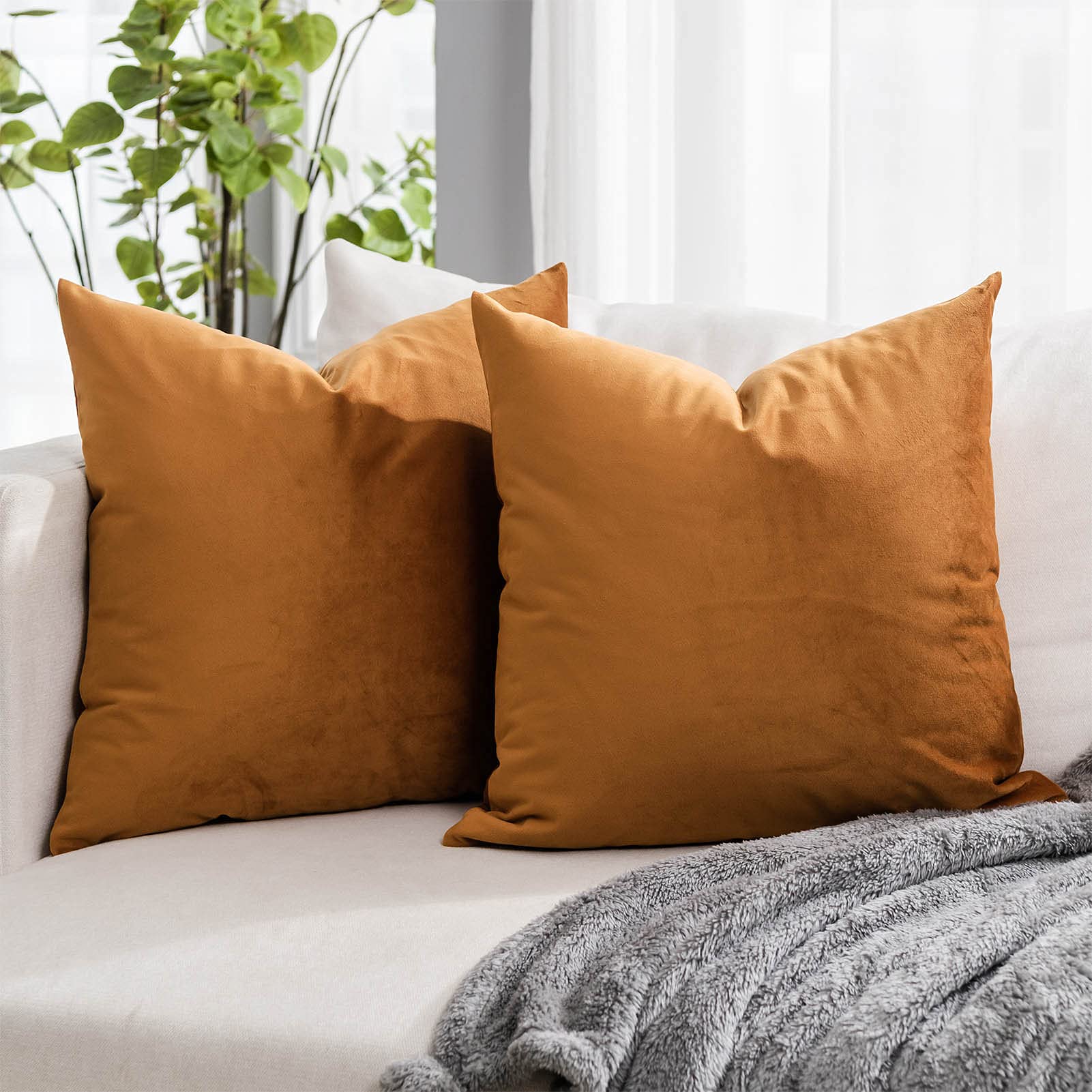 Coral Decorative Velvet Throw Pillow Covers 24x24 inch Set of 2 with Zipper Luxury Soft Solid Square Cushion Covers Case for Sofa Couch Bed Living Room