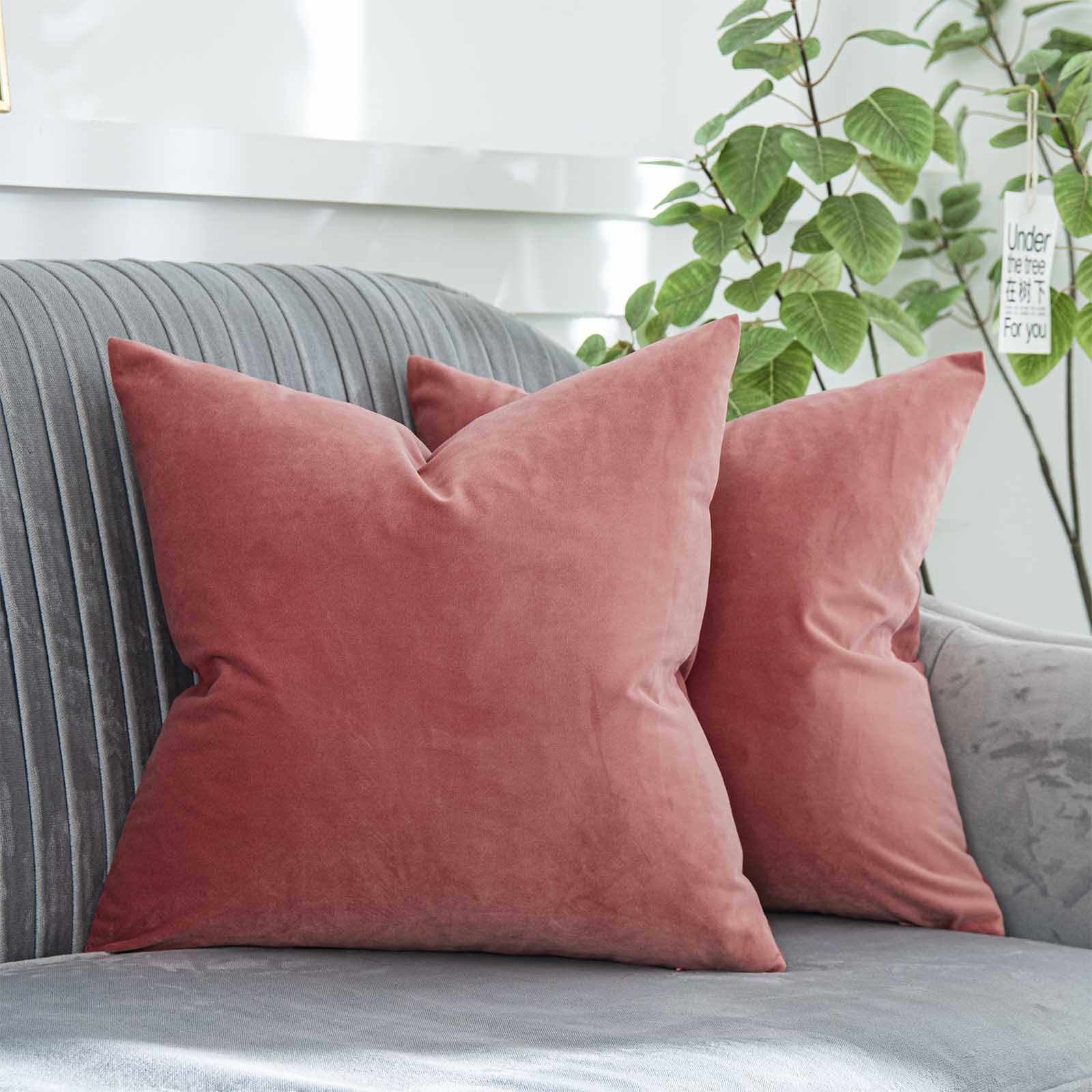Coral Decorative Velvet Throw Pillow Covers 24x24 inch Set of 2 with Zipper Luxury Soft Solid Square Cushion Covers Case for Sofa Couch Bed Living Room