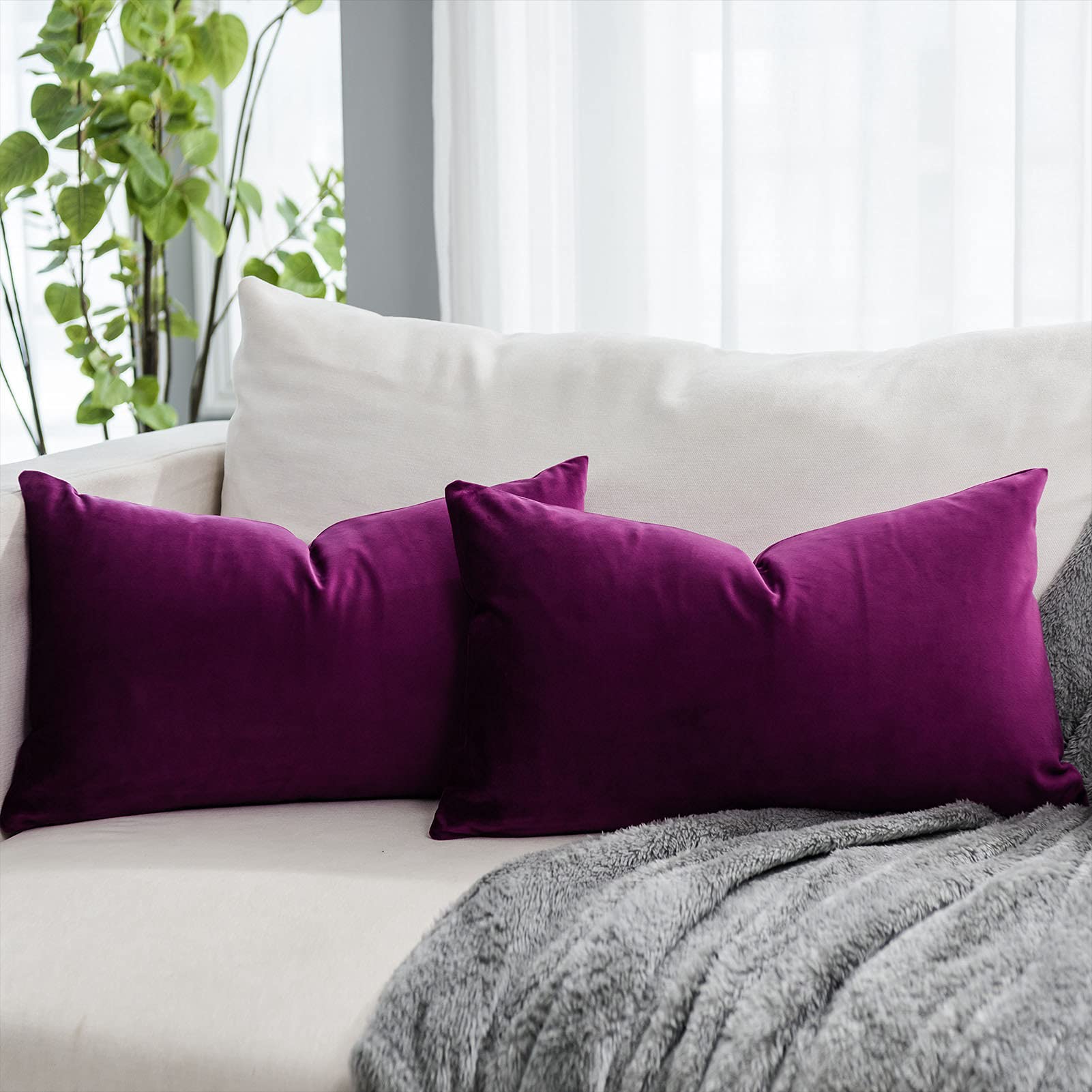Coral Decorative Velvet Throw Pillow Covers 24x24 inch Set of 2 with Zipper Luxury Soft Solid Square Cushion Covers Case for Sofa Couch Bed Living Room