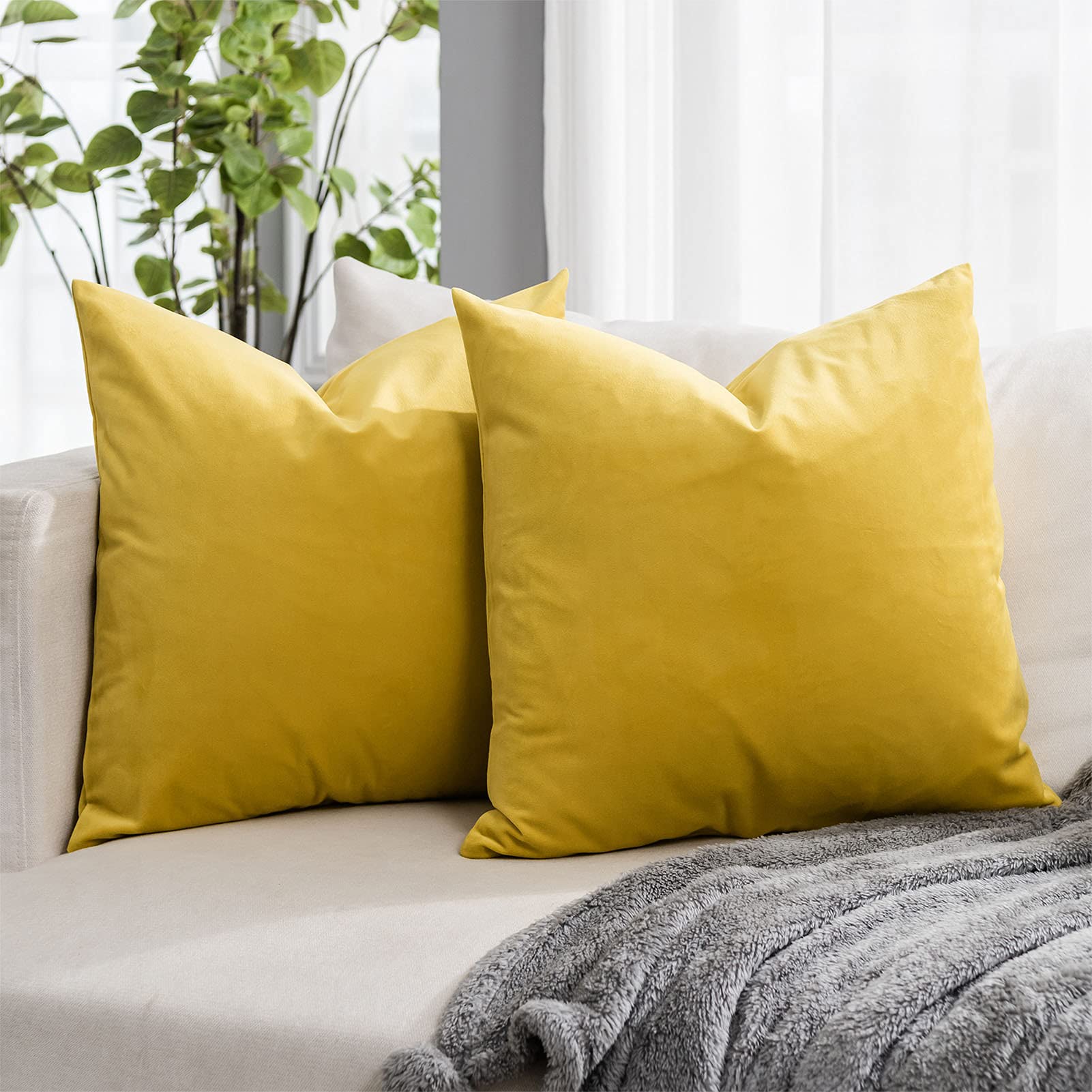 Coral Decorative Velvet Throw Pillow Covers 24x24 inch Set of 2 with Zipper Luxury Soft Solid Square Cushion Covers Case for Sofa Couch Bed Living Room
