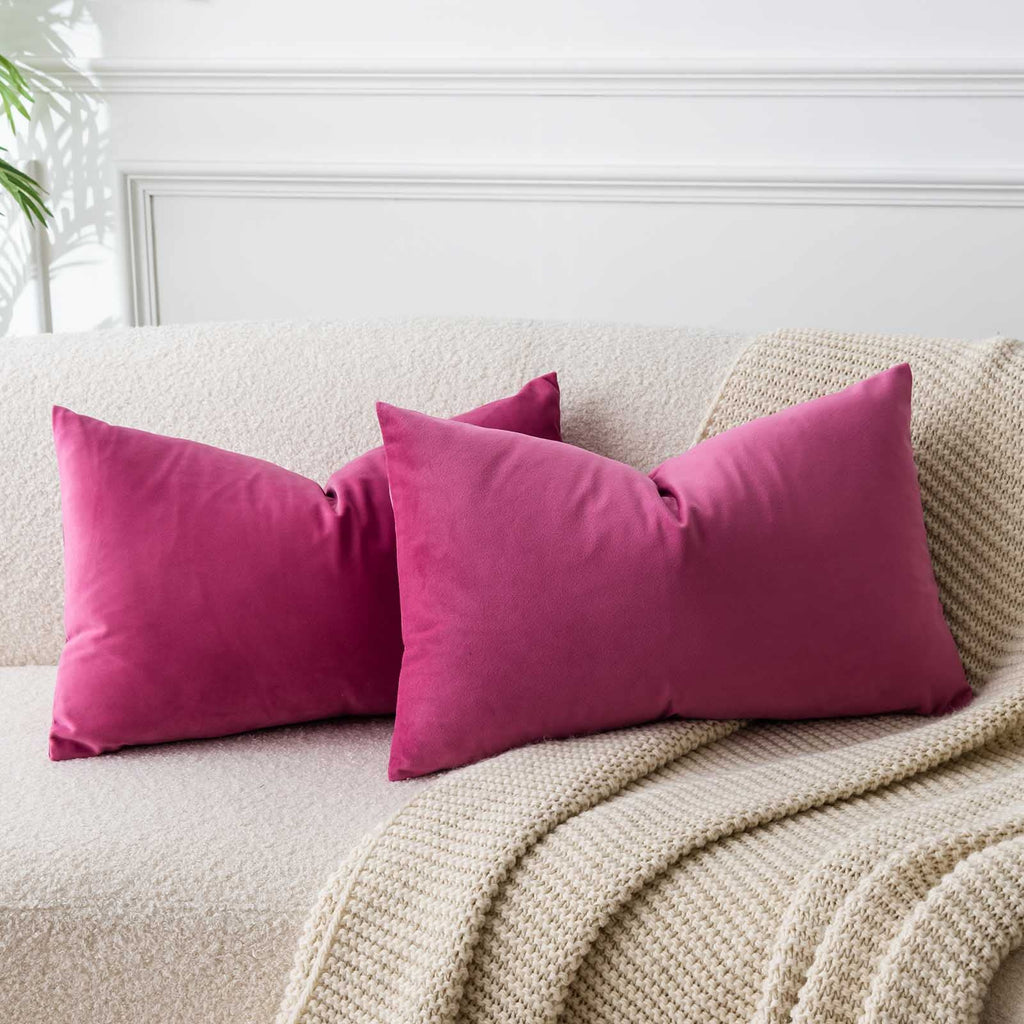 JUSPURBET Decorative Pillow Covers Set of 2 Velvet Throw Pillow Covers for Couch Sofa Bed Soft Cushion Covers Cases with Hidden Zipper for Living Room Home Decor 24x24 inch,Coral