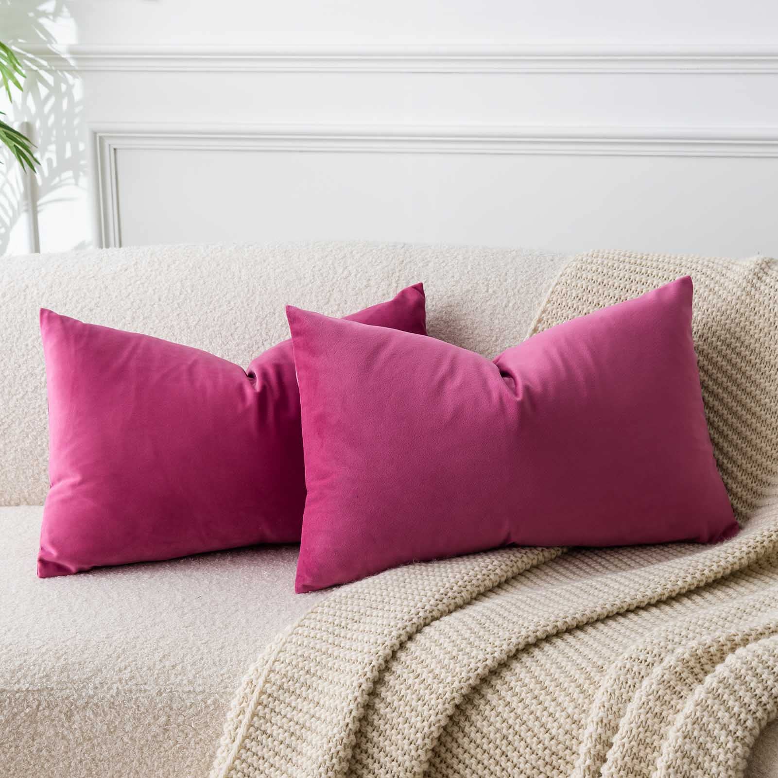 JUSPURBET Decorative Pillow Covers Set of 2 Velvet Throw Pillow Covers for Couch Sofa Bed Soft Cushion Covers Cases with Hidden Zipper for Living Room Home Decor 24x24 inch,Coral
