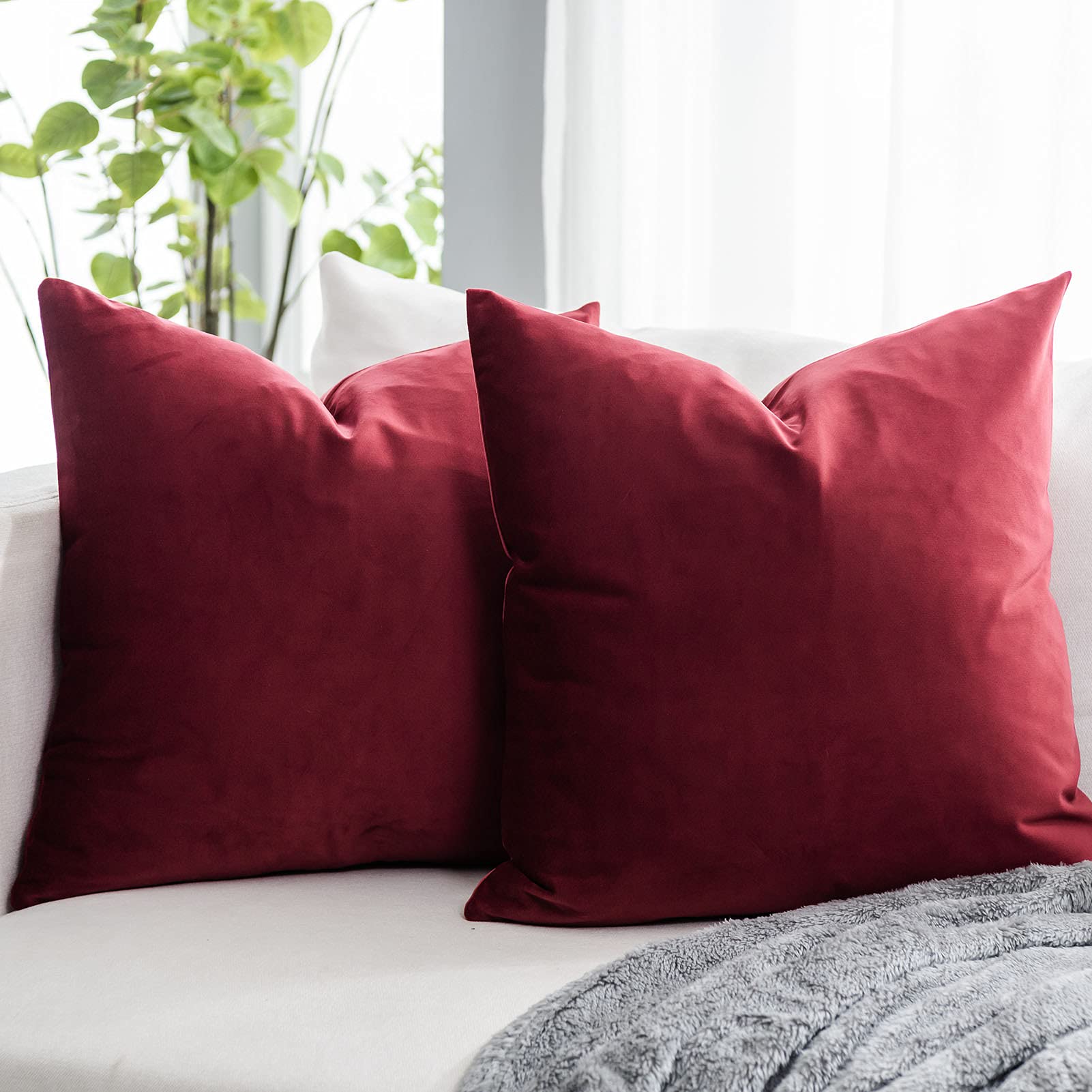 Coral Decorative Velvet Throw Pillow Covers 24x24 inch Set of 2 with Zipper Luxury Soft Solid Square Cushion Covers Case for Sofa Couch Bed Living Room