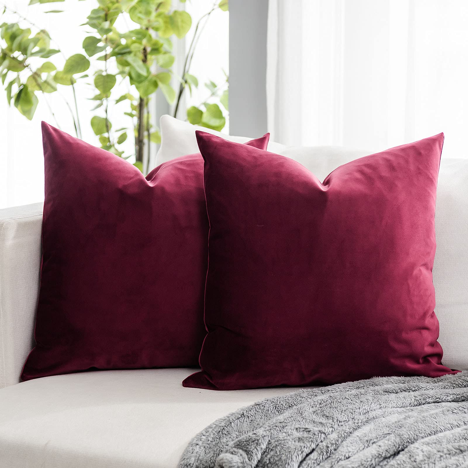 Coral Decorative Velvet Throw Pillow Covers 24x24 inch Set of 2 with Zipper Luxury Soft Solid Square Cushion Covers Case for Sofa Couch Bed Living Room