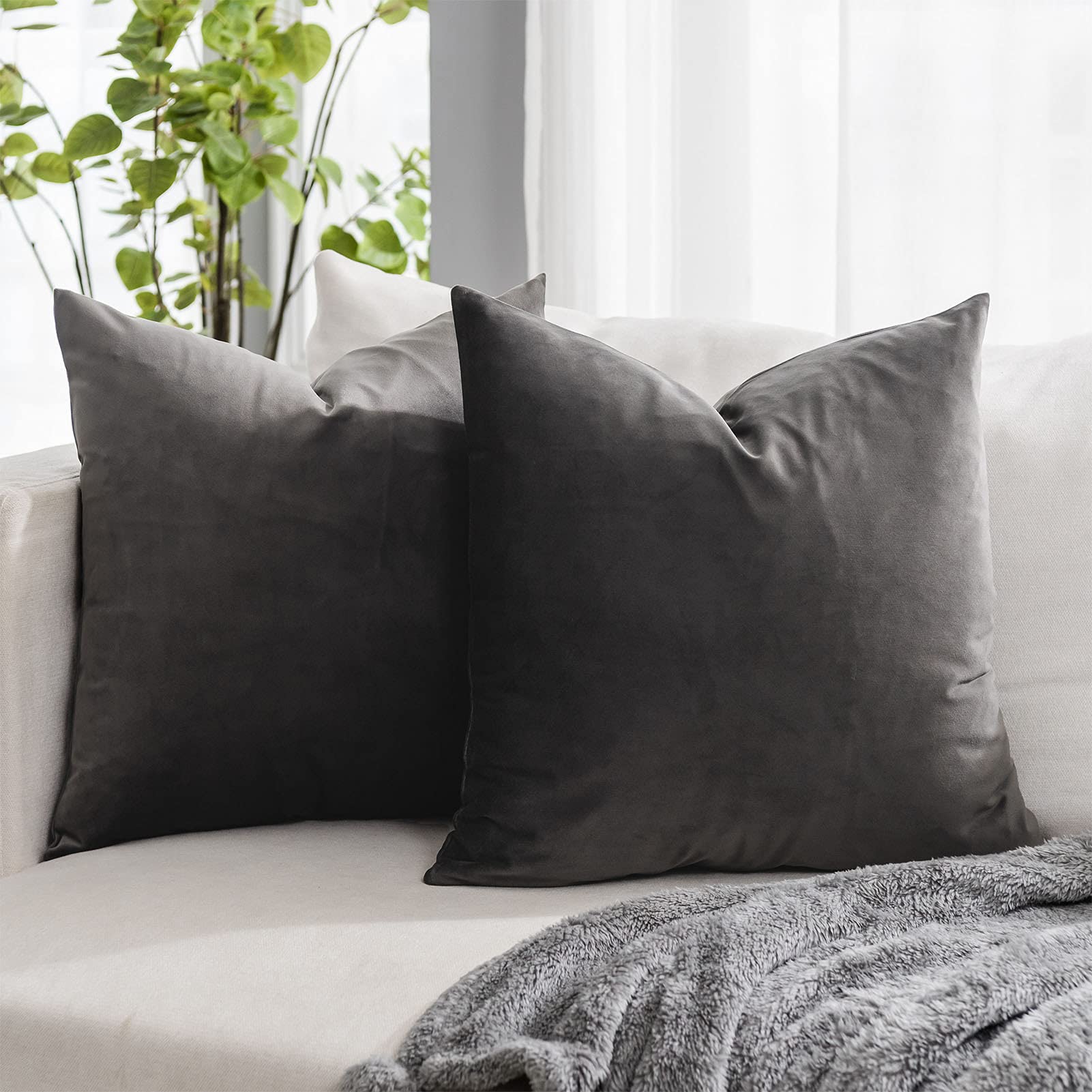 Coral Decorative Velvet Throw Pillow Covers 24x24 inch Set of 2 with Zipper Luxury Soft Solid Square Cushion Covers Case for Sofa Couch Bed Living Room