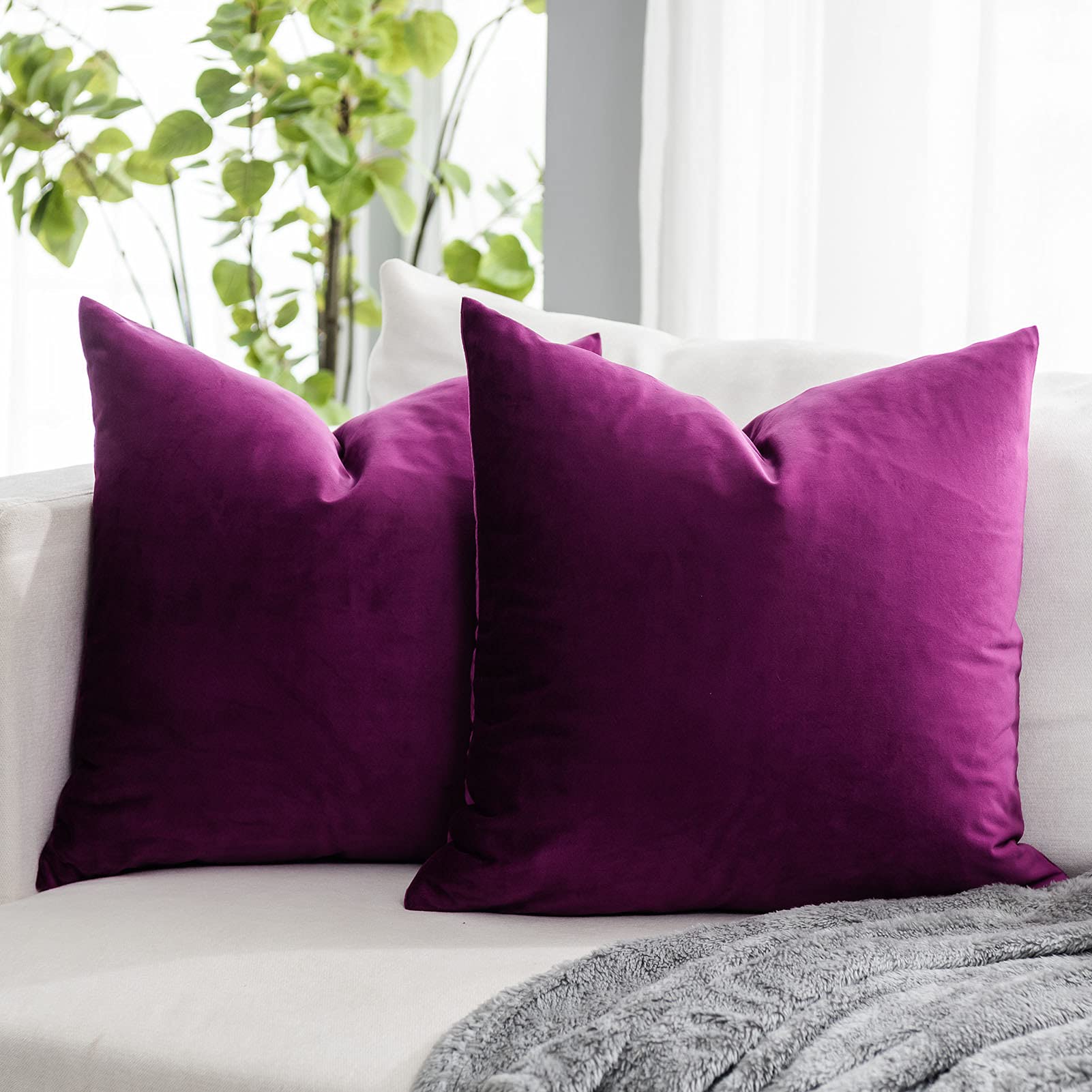 Coral Decorative Velvet Throw Pillow Covers 24x24 inch Set of 2 with Zipper Luxury Soft Solid Square Cushion Covers Case for Sofa Couch Bed Living Room