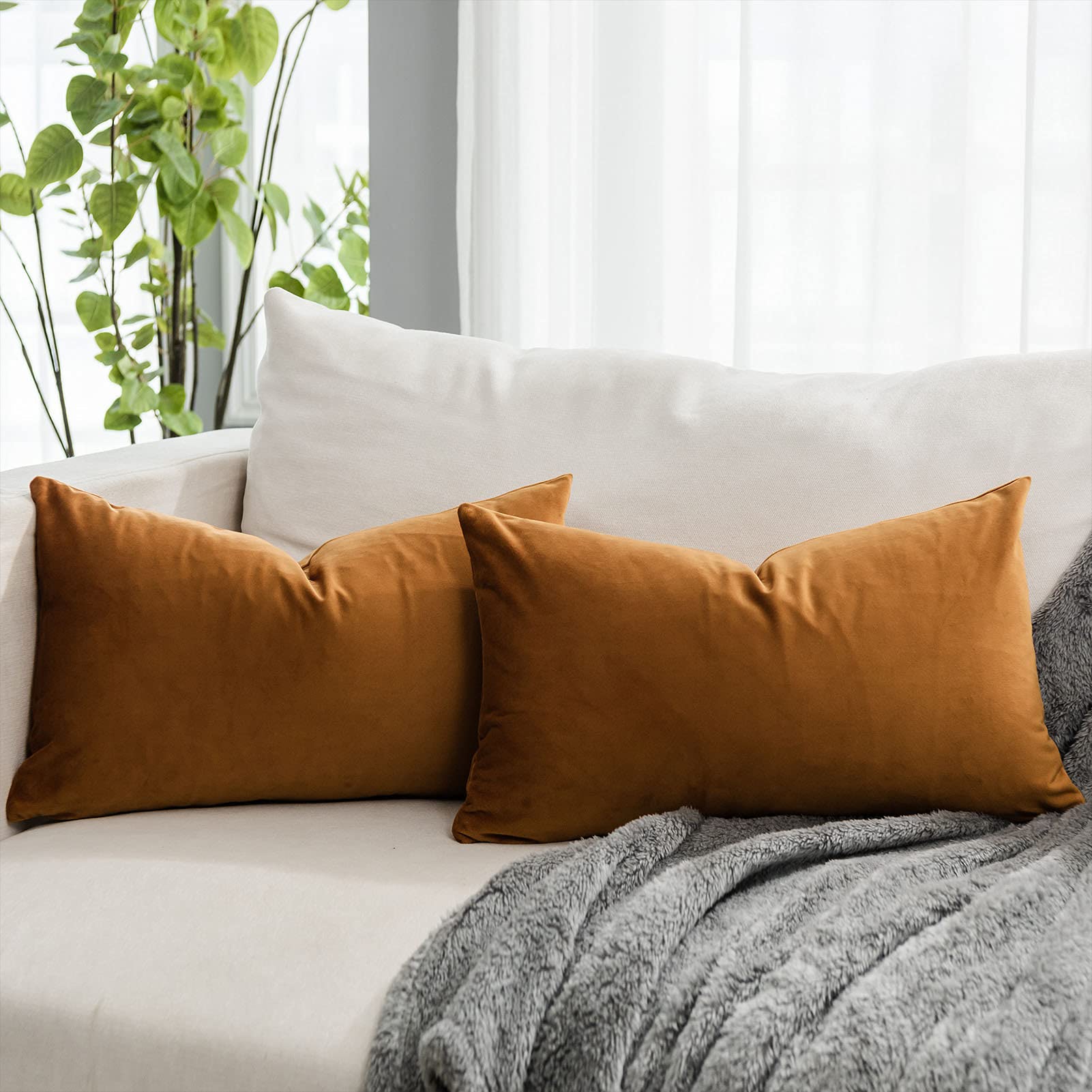 Coral Decorative Velvet Throw Pillow Covers 24x24 inch Set of 2 with Zipper Luxury Soft Solid Square Cushion Covers Case for Sofa Couch Bed Living Room