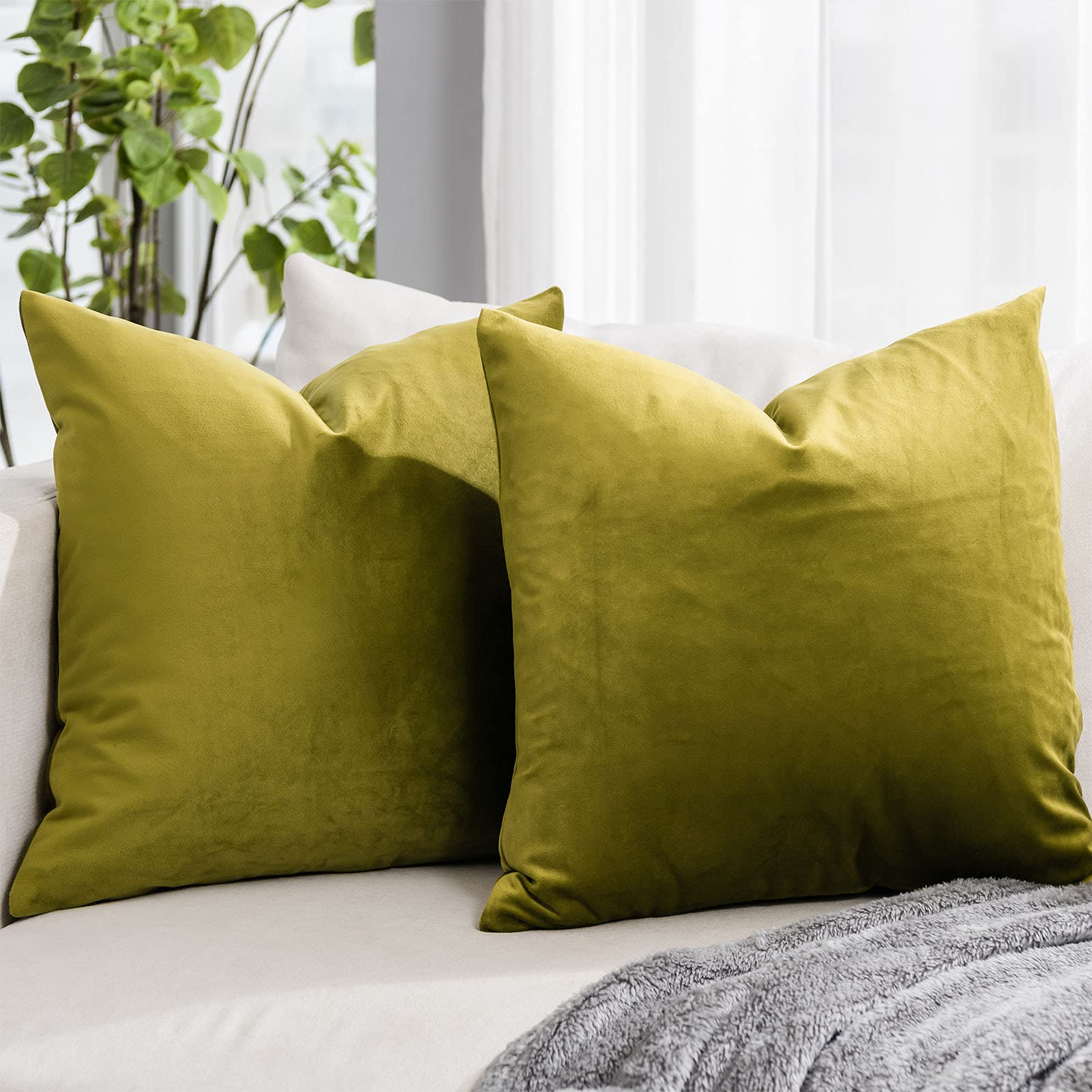 Coral Decorative Velvet Throw Pillow Covers 24x24 inch Set of 2 with Zipper Luxury Soft Solid Square Cushion Covers Case for Sofa Couch Bed Living Room