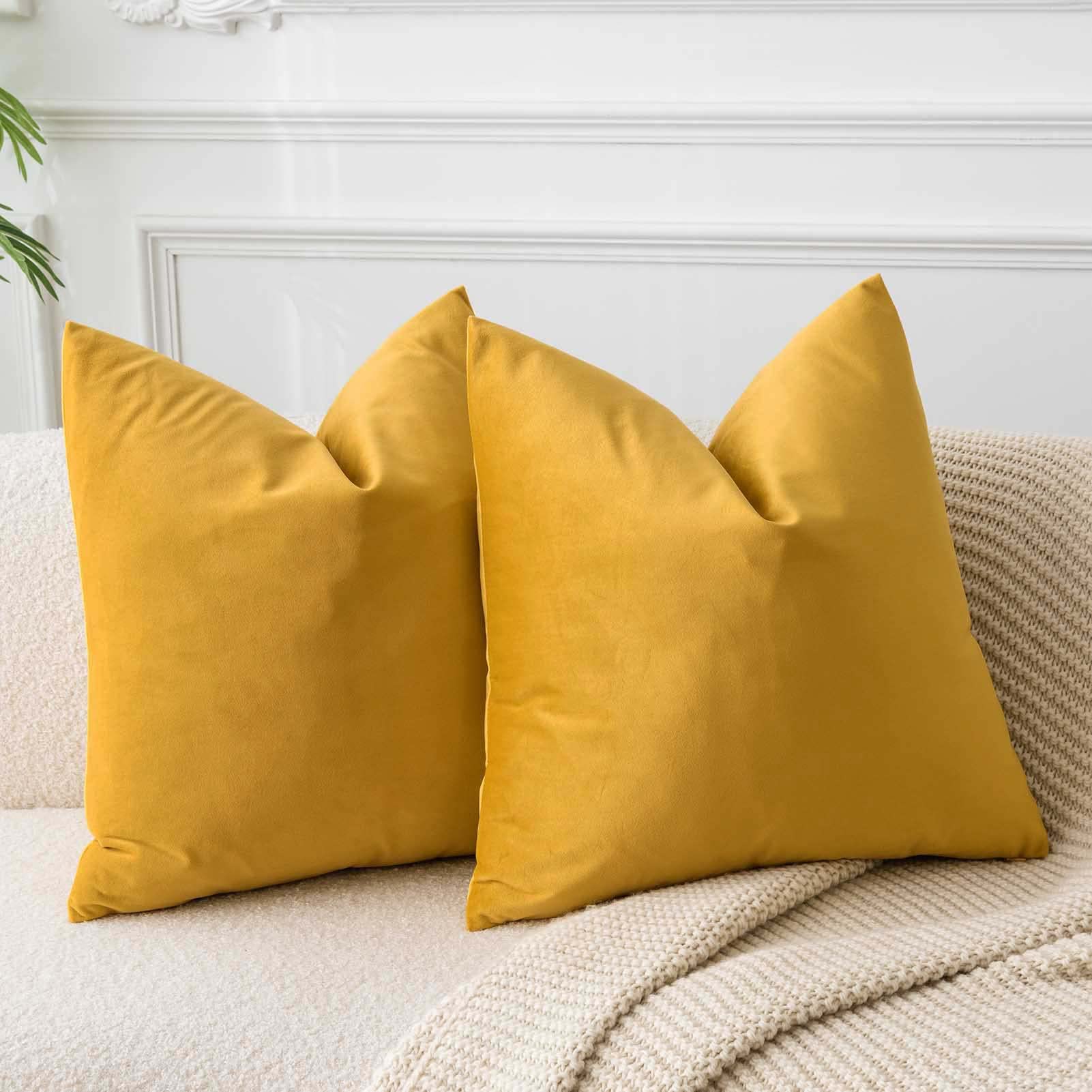 JUSPURBET Decorative Pillow Covers Set of 2 Velvet Throw Pillow Covers for Couch Sofa Bed Soft Cushion Covers Cases with Hidden Zipper for Living Room Home Decor 24x24 inch,Coral