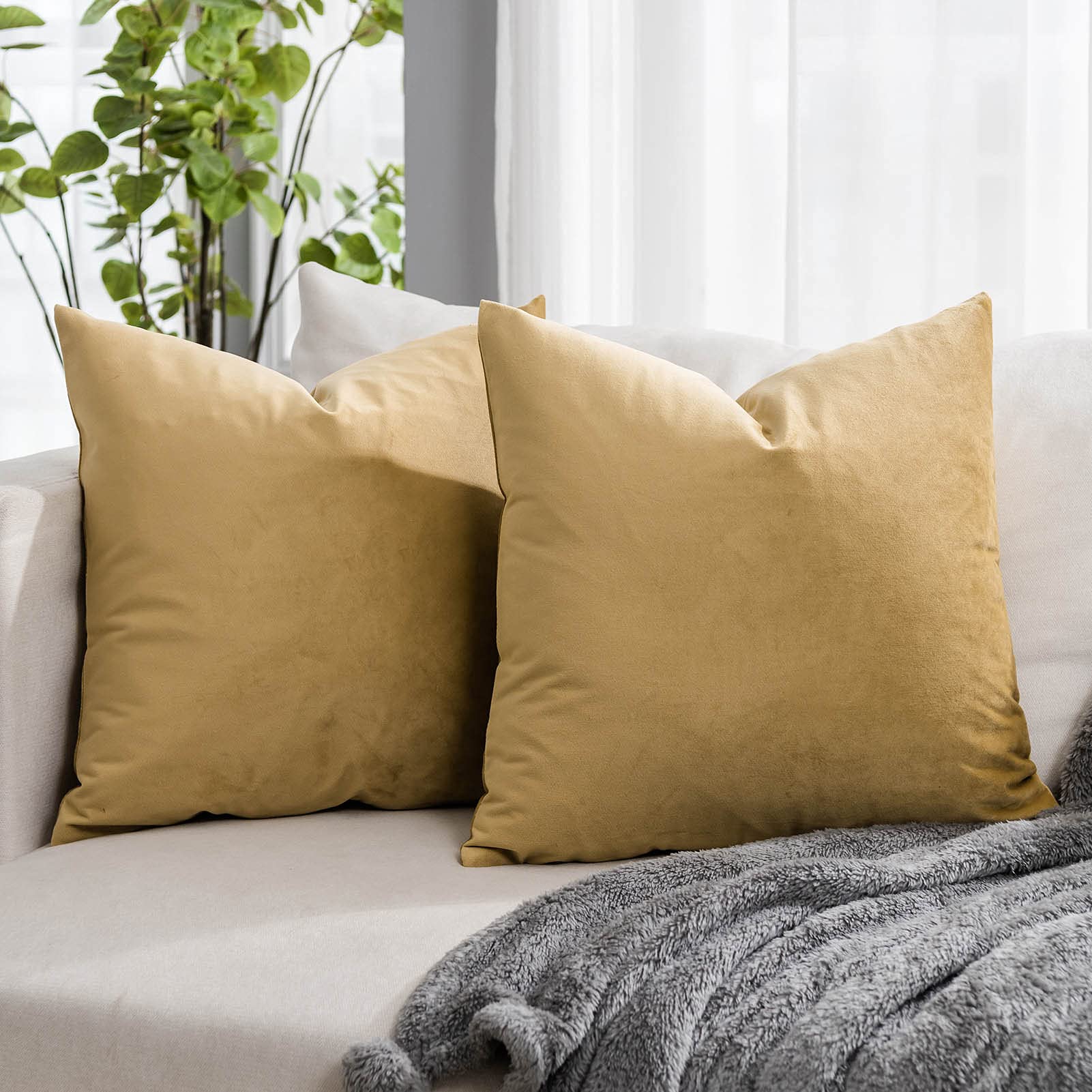 Coral Decorative Velvet Throw Pillow Covers 24x24 inch Set of 2 with Zipper Luxury Soft Solid Square Cushion Covers Case for Sofa Couch Bed Living Room