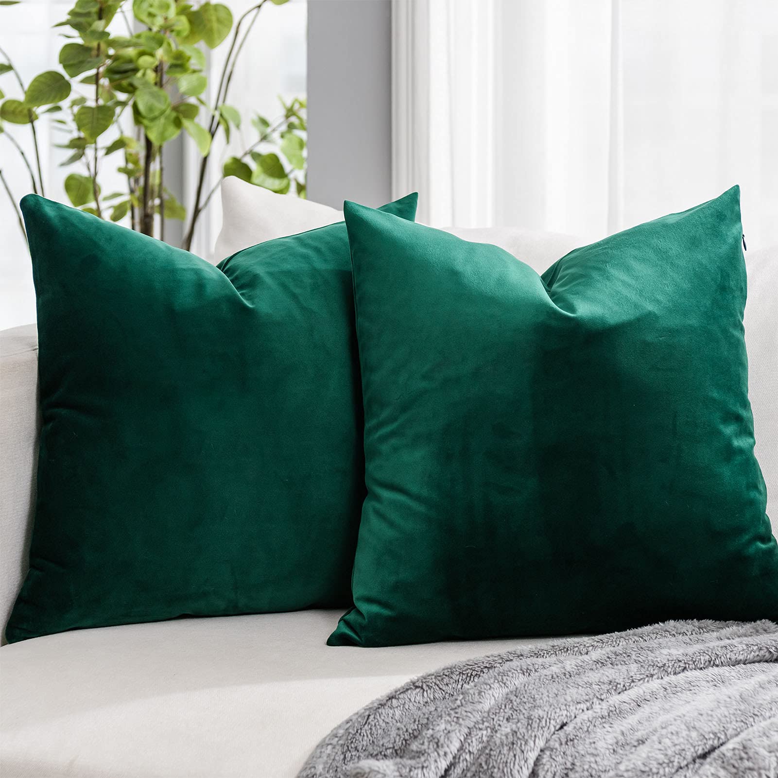 Coral Decorative Velvet Throw Pillow Covers 24x24 inch Set of 2 with Zipper Luxury Soft Solid Square Cushion Covers Case for Sofa Couch Bed Living Room