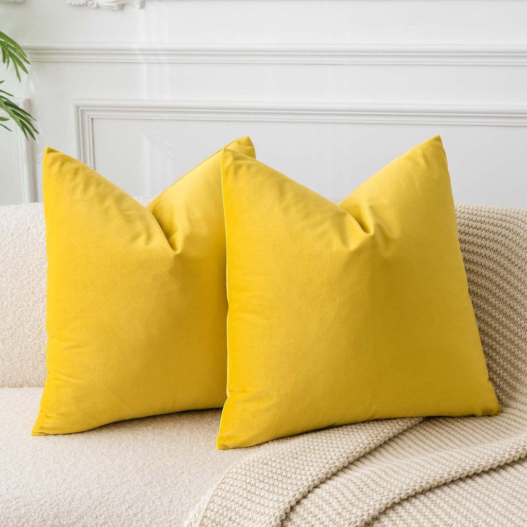 JUSPURBET Decorative Pillow Covers Set of 2 Velvet Throw Pillow Covers for Couch Sofa Bed Soft Cushion Covers Cases with Hidden Zipper for Living Room Home Decor 24x24 inch,Coral