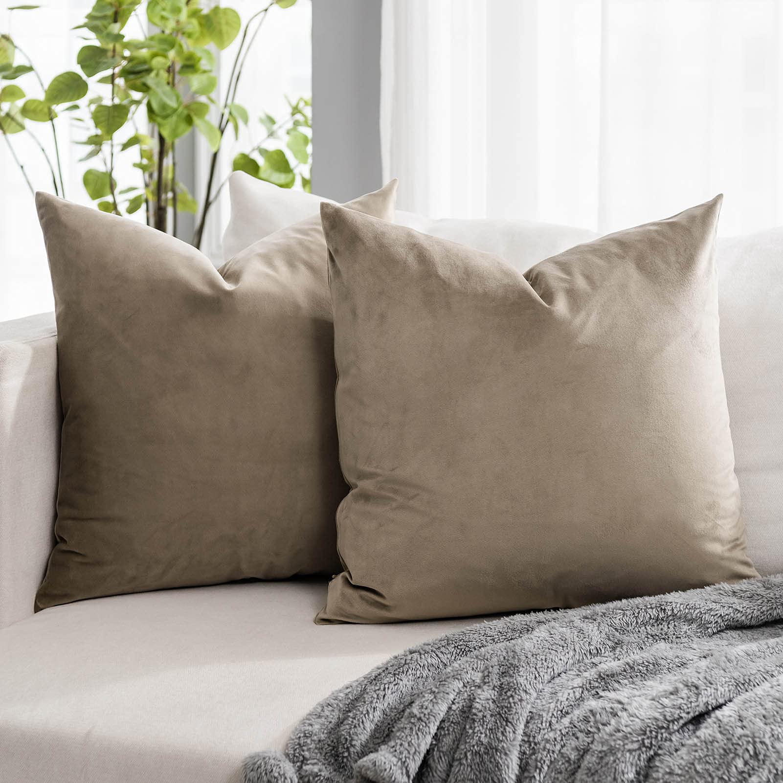 Coral Decorative Velvet Throw Pillow Covers 24x24 inch Set of 2 with Zipper Luxury Soft Solid Square Cushion Covers Case for Sofa Couch Bed Living Room