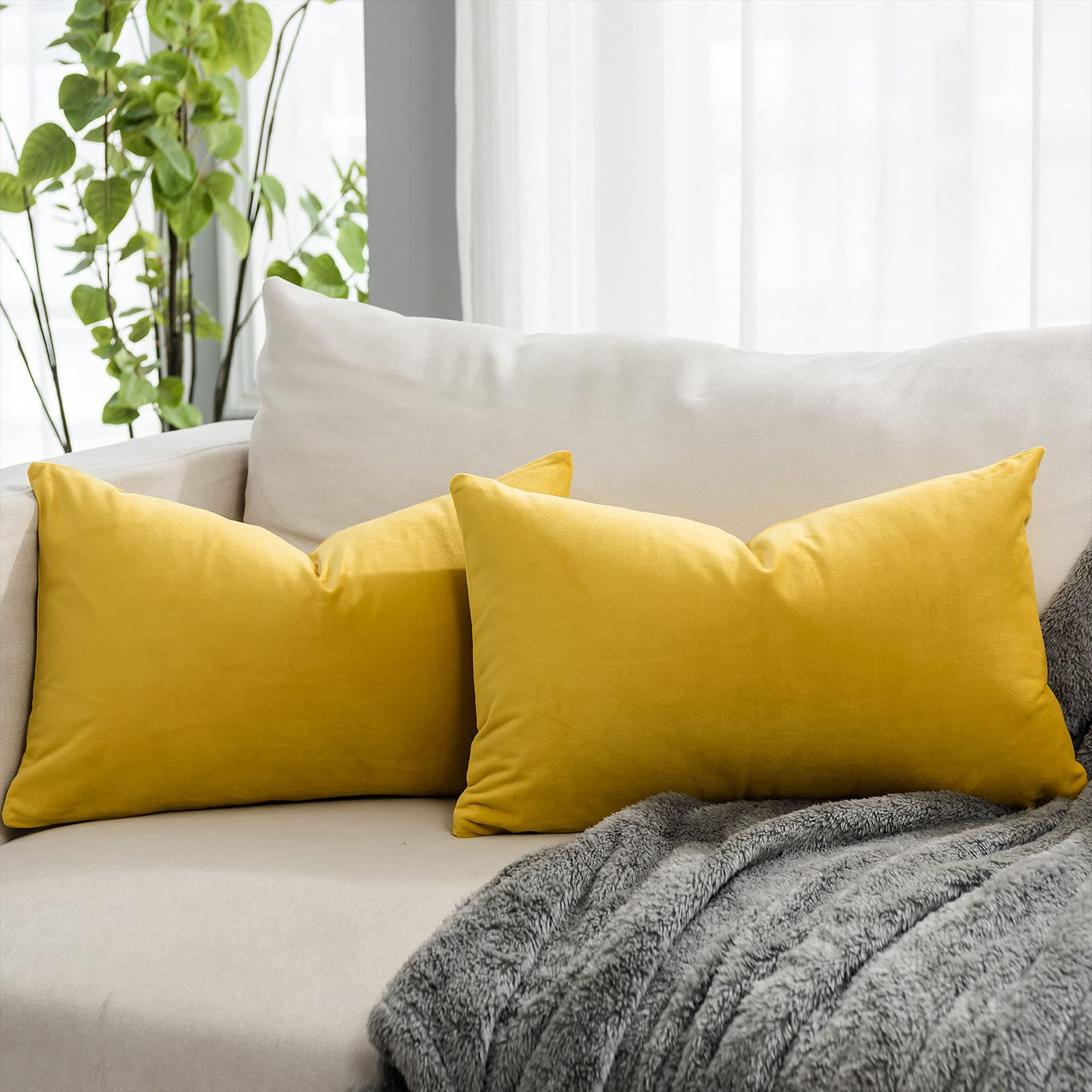 Coral Decorative Velvet Throw Pillow Covers 24x24 inch Set of 2 with Zipper Luxury Soft Solid Square Cushion Covers Case for Sofa Couch Bed Living Room