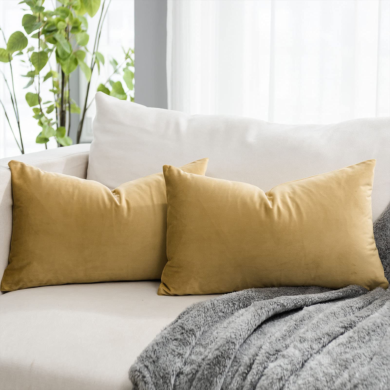 Coral Decorative Velvet Throw Pillow Covers 24x24 inch Set of 2 with Zipper Luxury Soft Solid Square Cushion Covers Case for Sofa Couch Bed Living Room