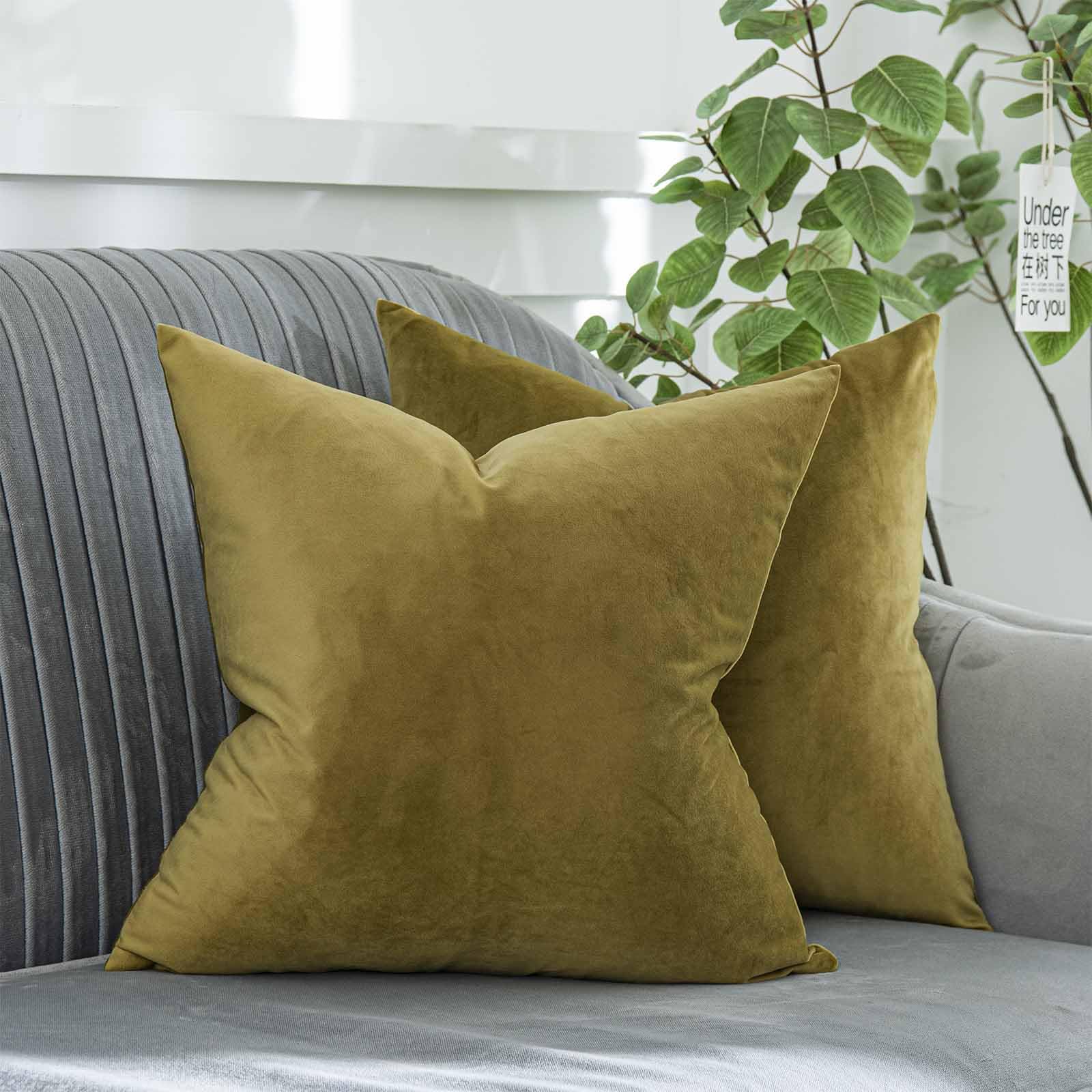 Coral Decorative Velvet Throw Pillow Covers 24x24 inch Set of 2 with Zipper Luxury Soft Solid Square Cushion Covers Case for Sofa Couch Bed Living Room
